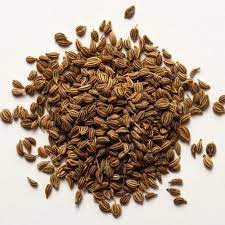 Whole Ajwain Seed, Carom Seeds, Thymol Seeds, Carom, Tymol Seeds, अजवायन -  Bhagwati Enterprises, Howrah | ID: 13956232933