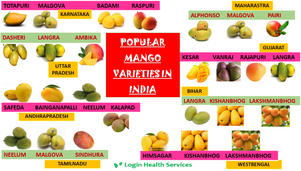 Popular Mango varieties in India loginhealthservices.in